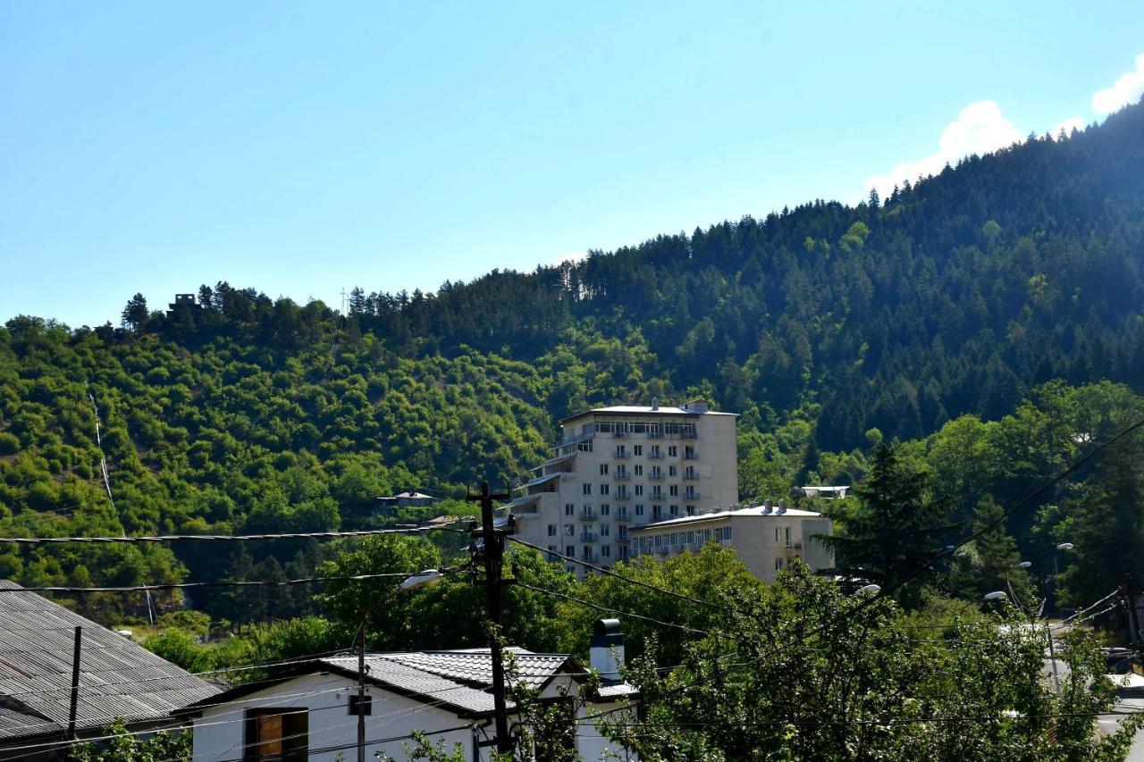 Guest House Metreveli Borjomi Bagian luar foto