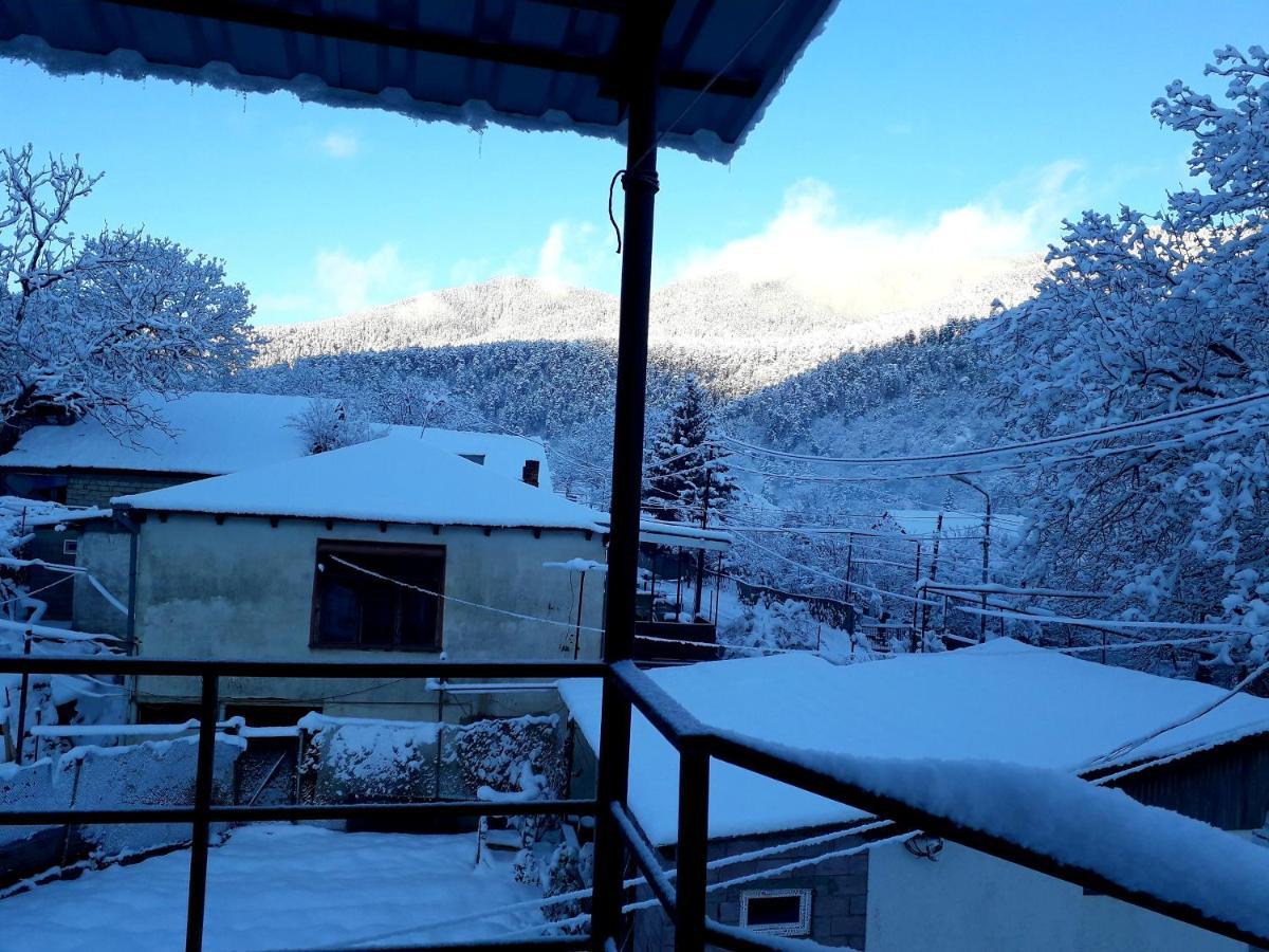 Guest House Metreveli Borjomi Bagian luar foto