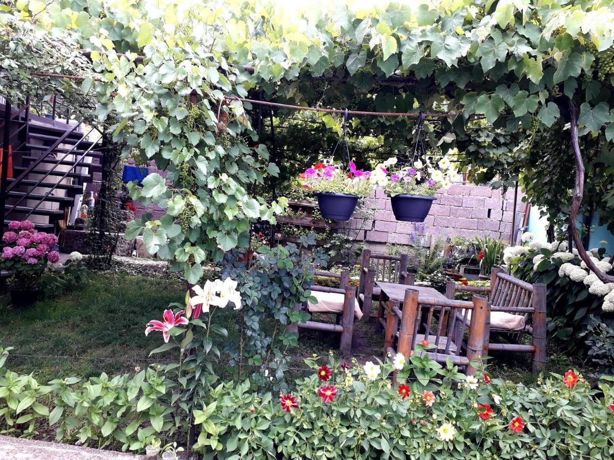 Guest House Metreveli Borjomi Bagian luar foto