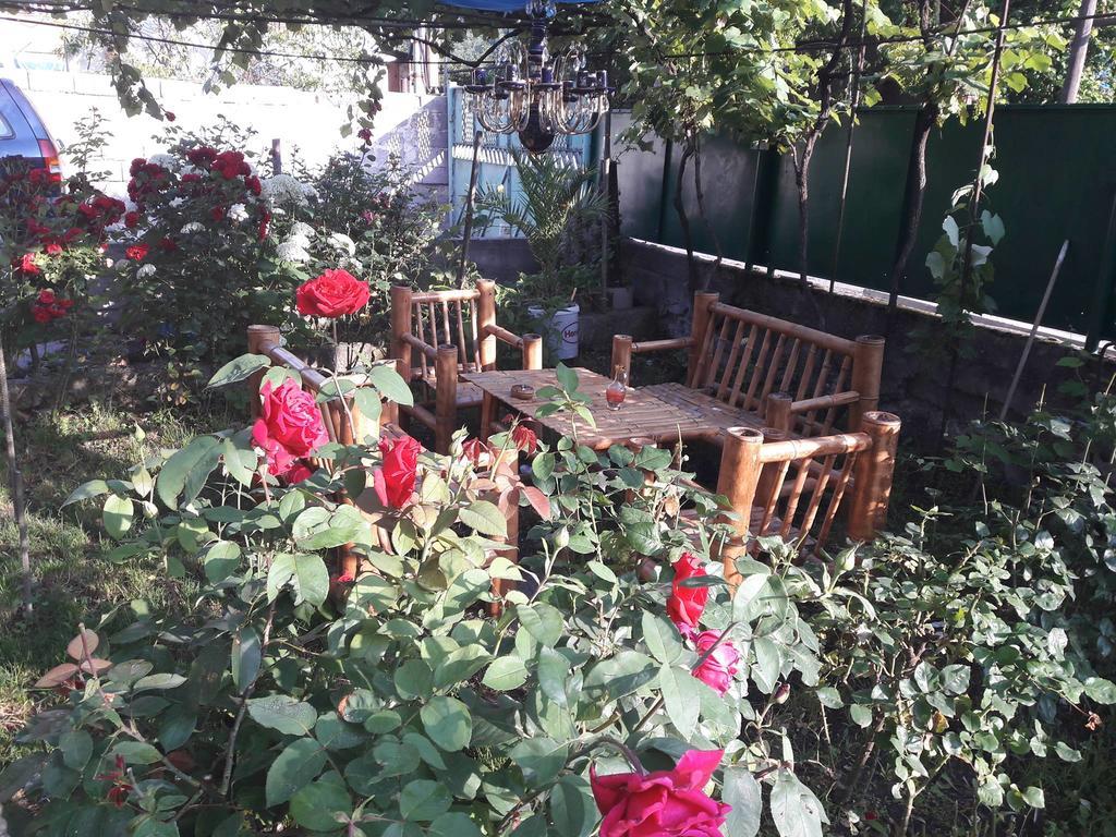 Guest House Metreveli Borjomi Bagian luar foto